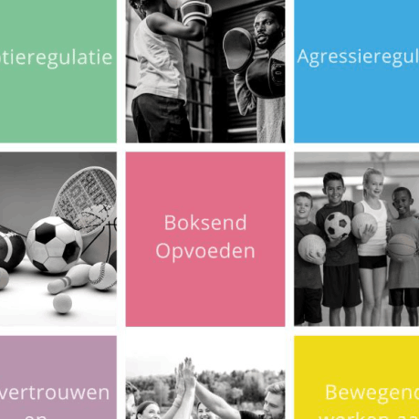 Boksend opvoeden Emotie- en agressieregulatie training