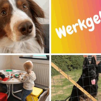 Werkgeluk